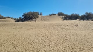 2023-GC--Mapalomas dunas-S123-118.jpg